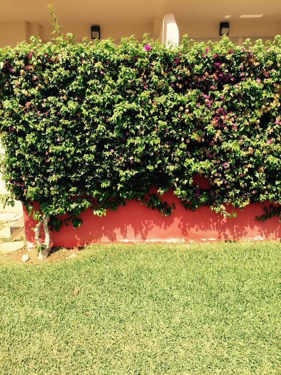 Playa Sol Apartment Denia Δωμάτιο φωτογραφία