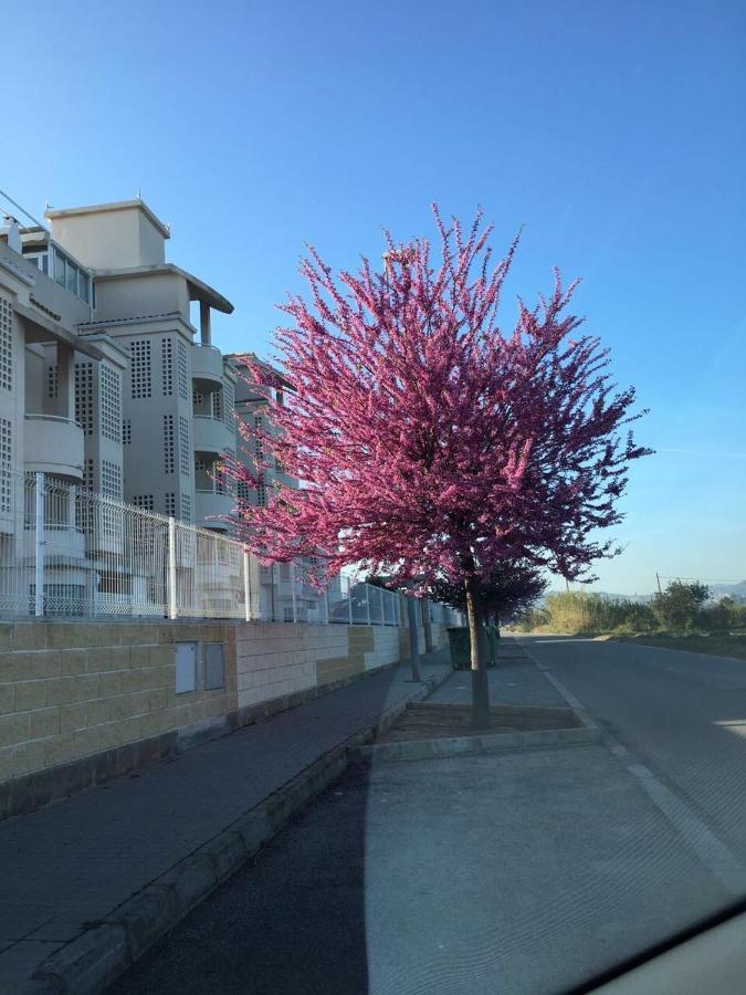 Playa Sol Apartment Denia Εξωτερικό φωτογραφία